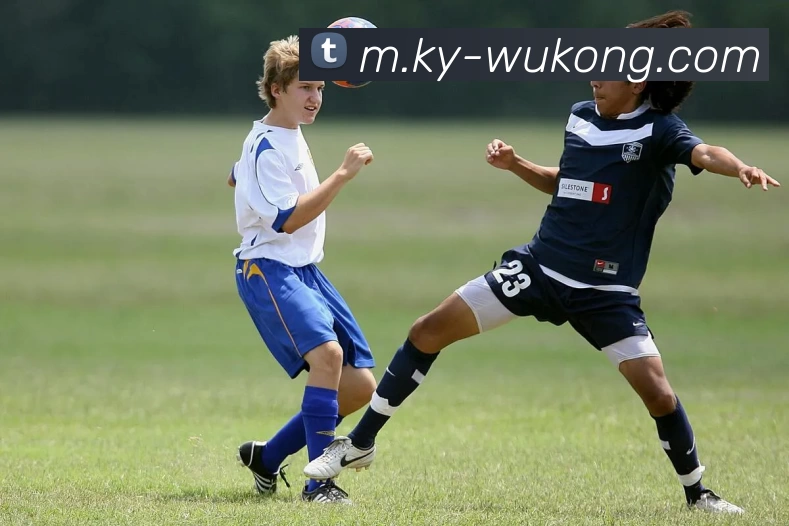 悟空体育品牌故事