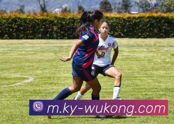 悟空体育服务体系